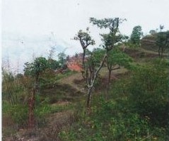 Dhankuta Municipality Wada No. 8, Dhankuta 3